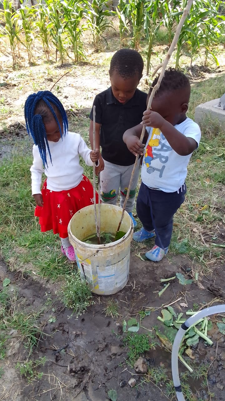 Environmental Activities